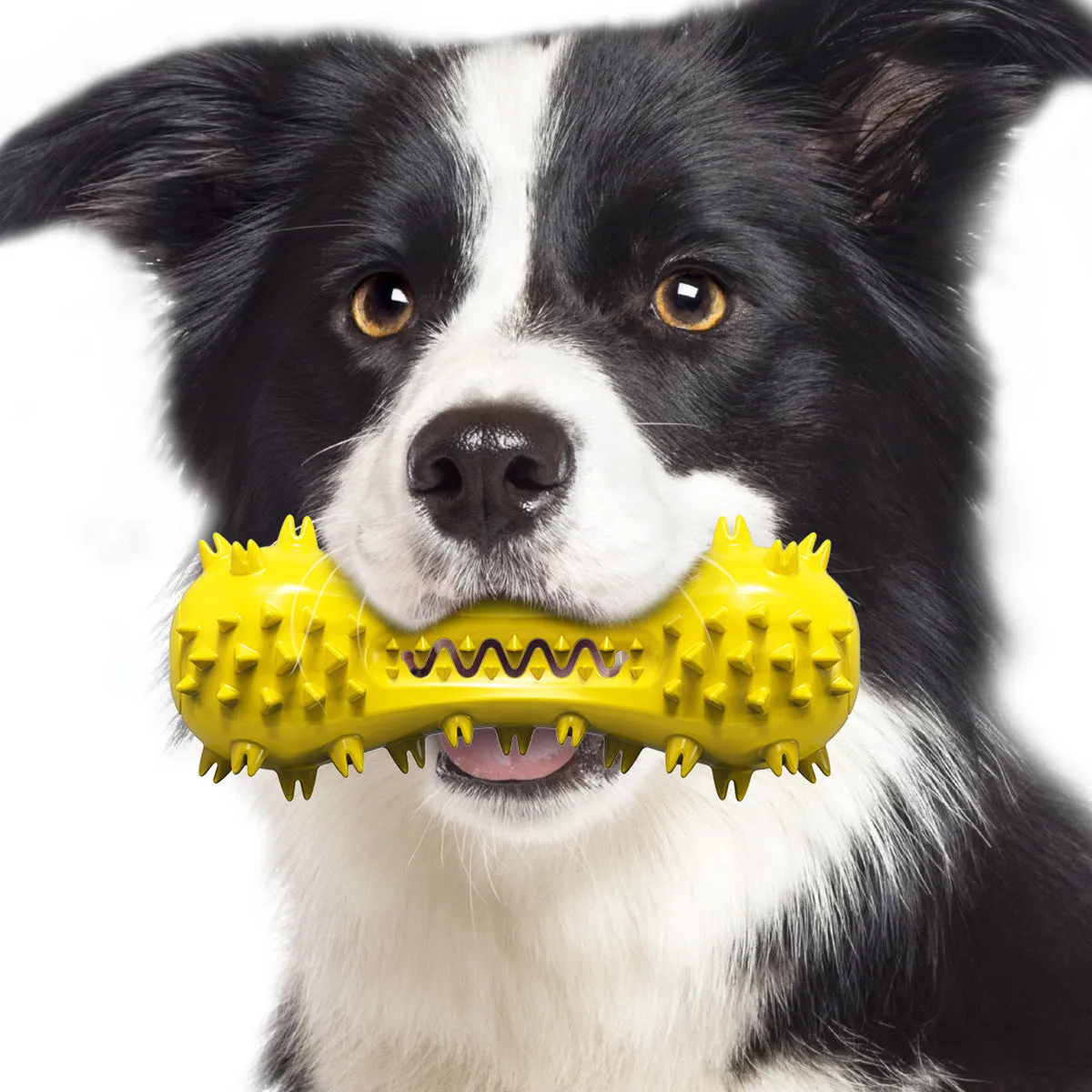 QUMY Dog Cleaning Stick Chew Toy