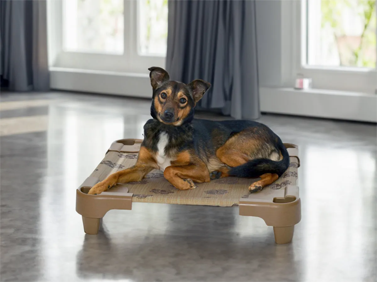 Raised dog beds - The Original Petcot