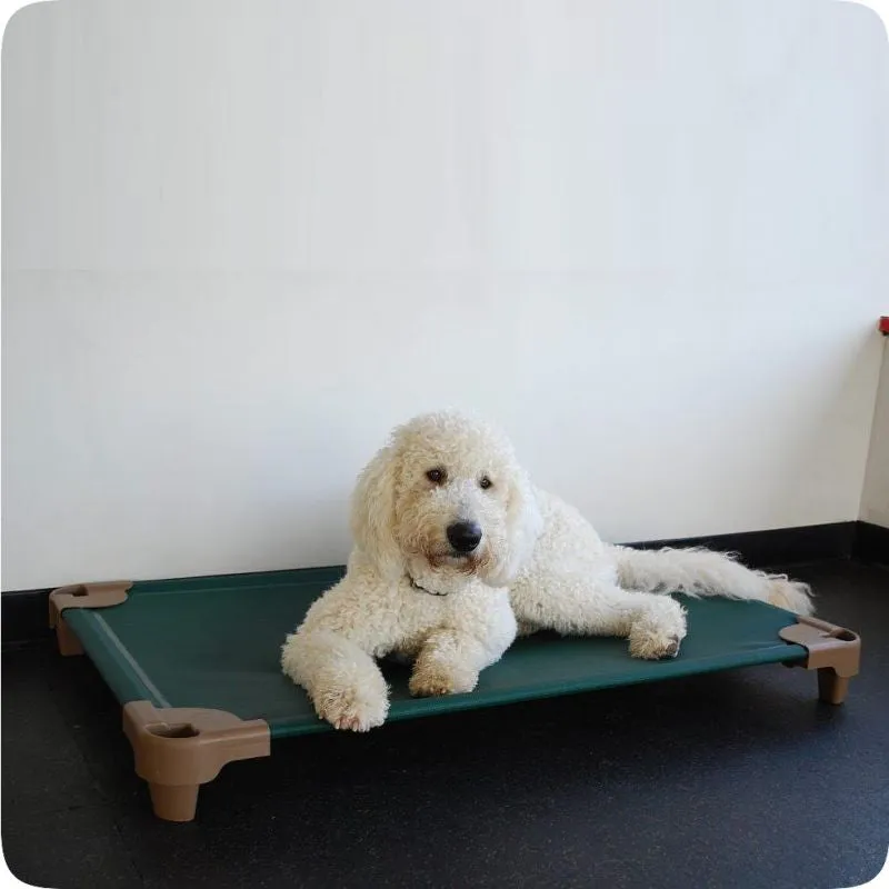 Raised dog beds - The Original Petcot