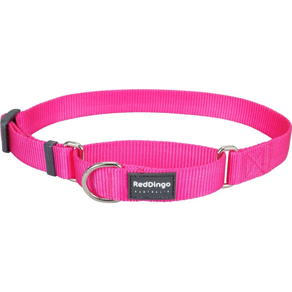 Red Dingo Classic Martingale Dog Collar 12mm