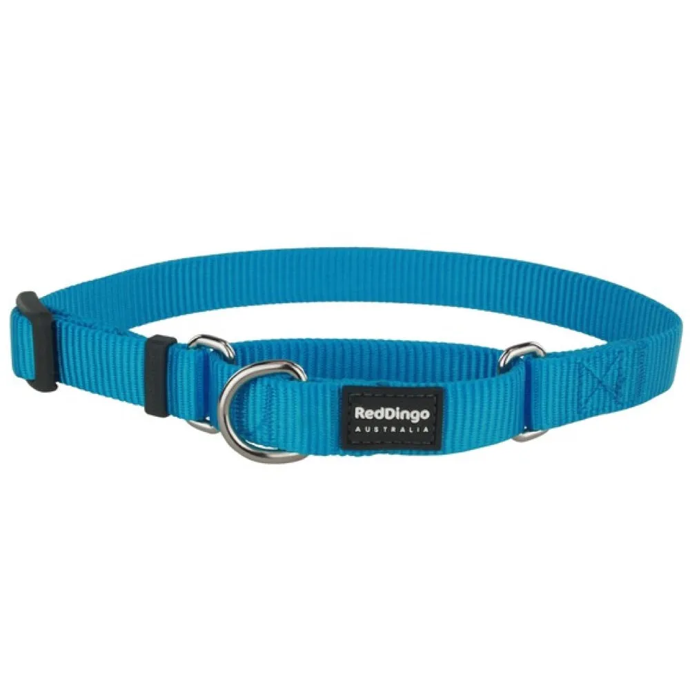 Red Dingo Classic Martingale Dog Collar 12mm