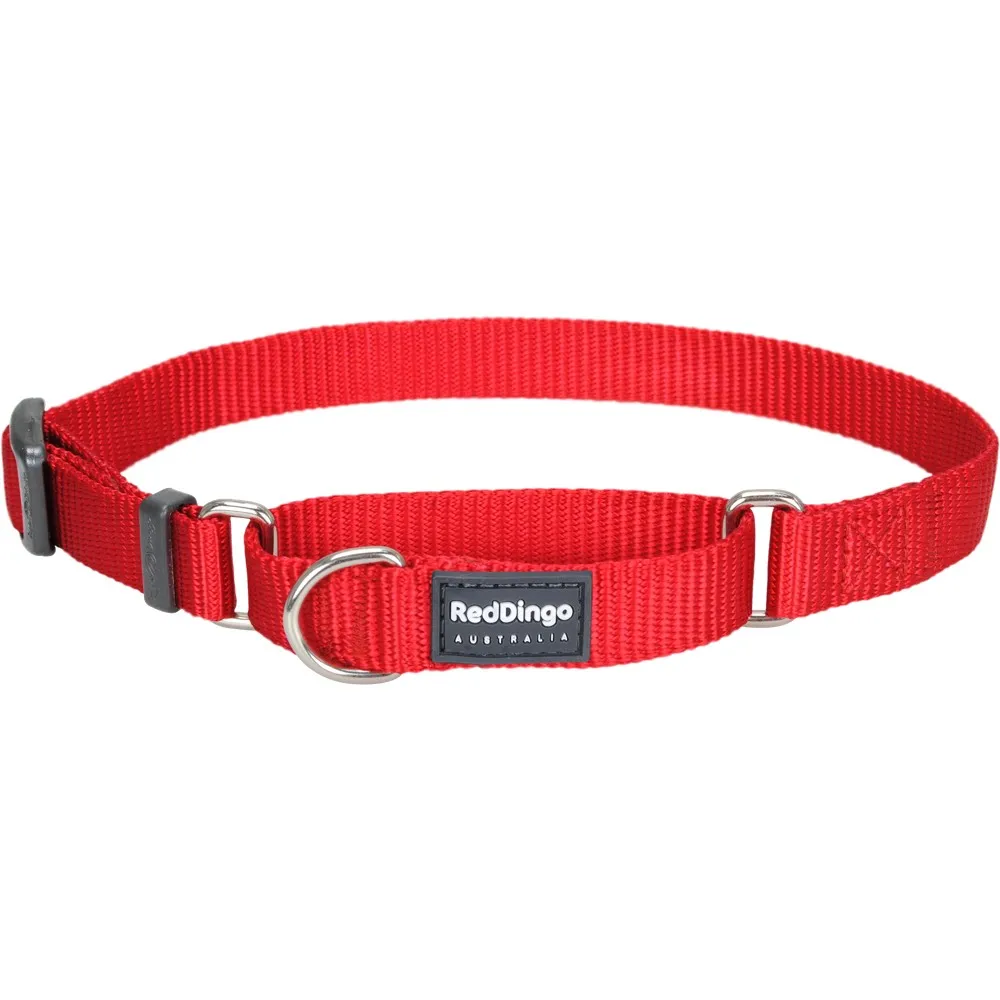 Red Dingo Classic Martingale Dog Collar 12mm