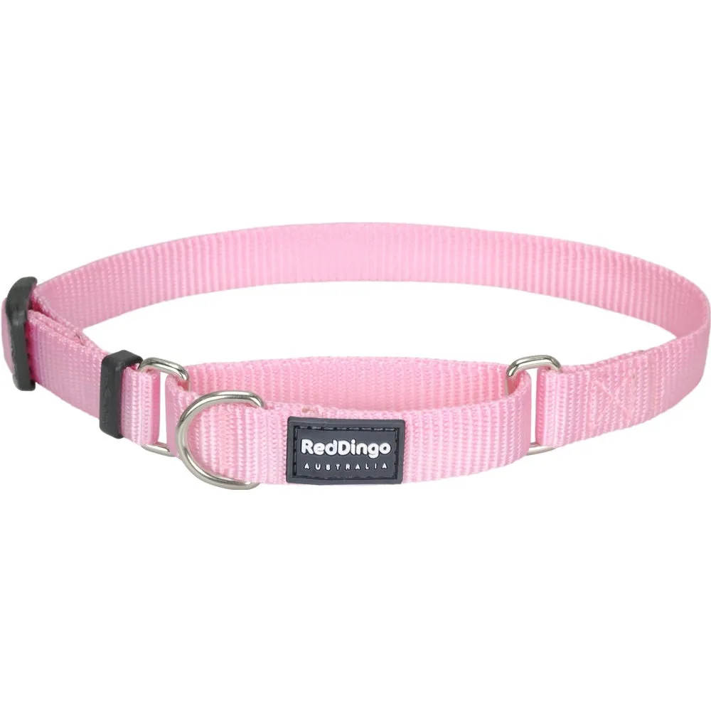 Red Dingo Classic Martingale Dog Collar 12mm