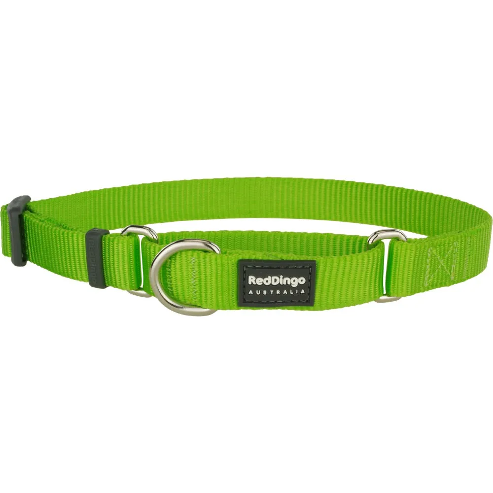 Red Dingo Classic Martingale Dog Collar 12mm