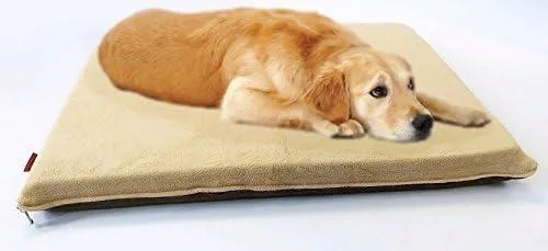 Steel Elevated Pet Bed - 2 Sizes
