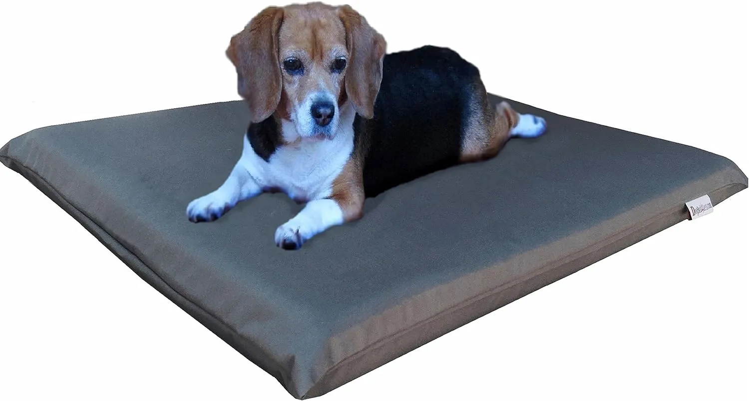 Steel Elevated Pet Bed - 2 Sizes