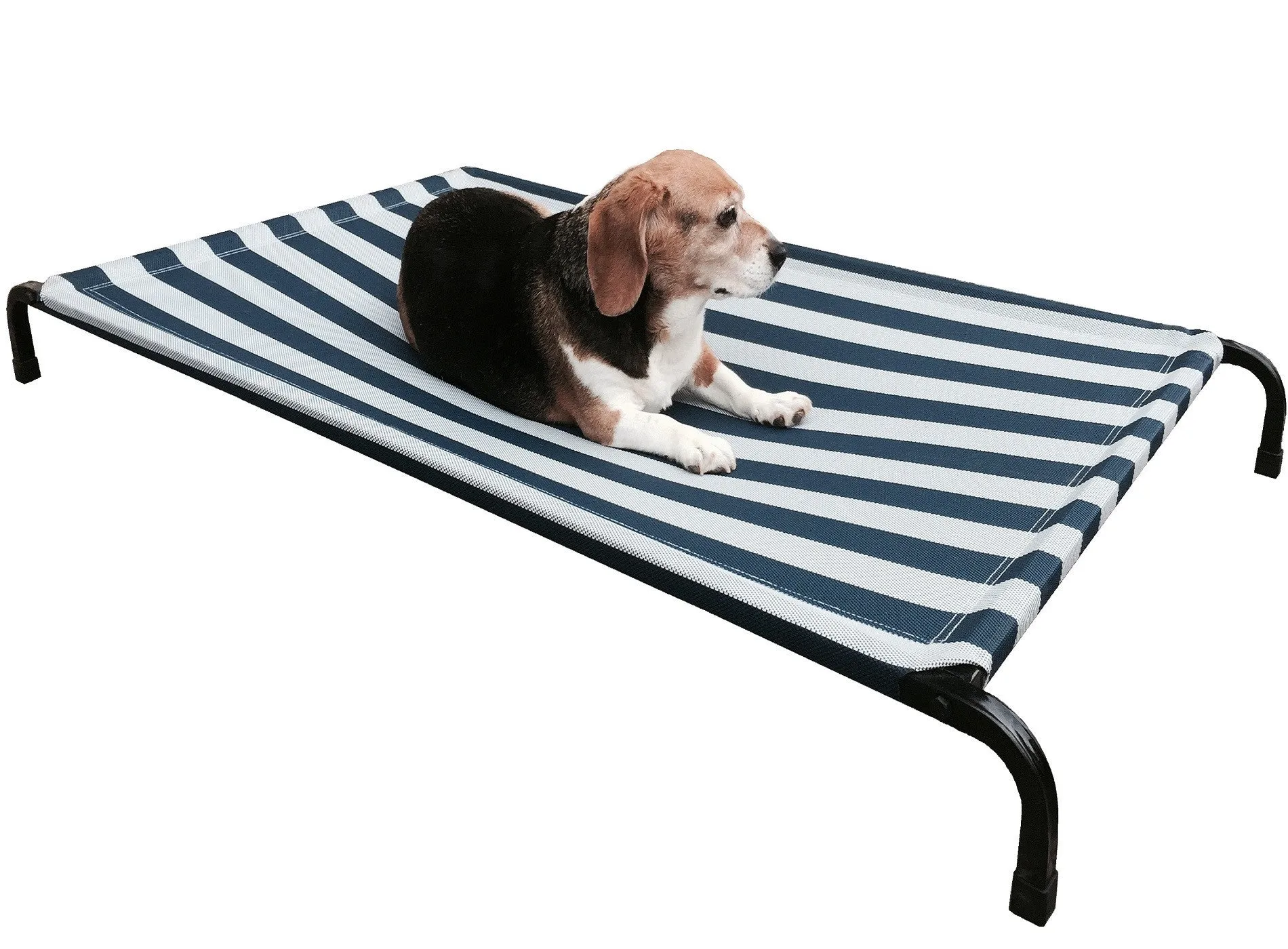 Steel Elevated Pet Bed - 2 Sizes