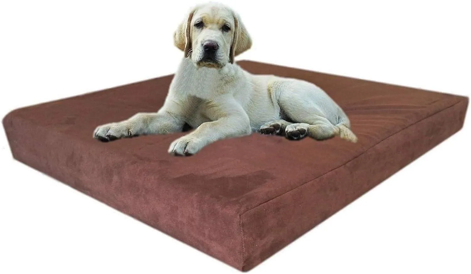 Steel Elevated Pet Bed - 2 Sizes