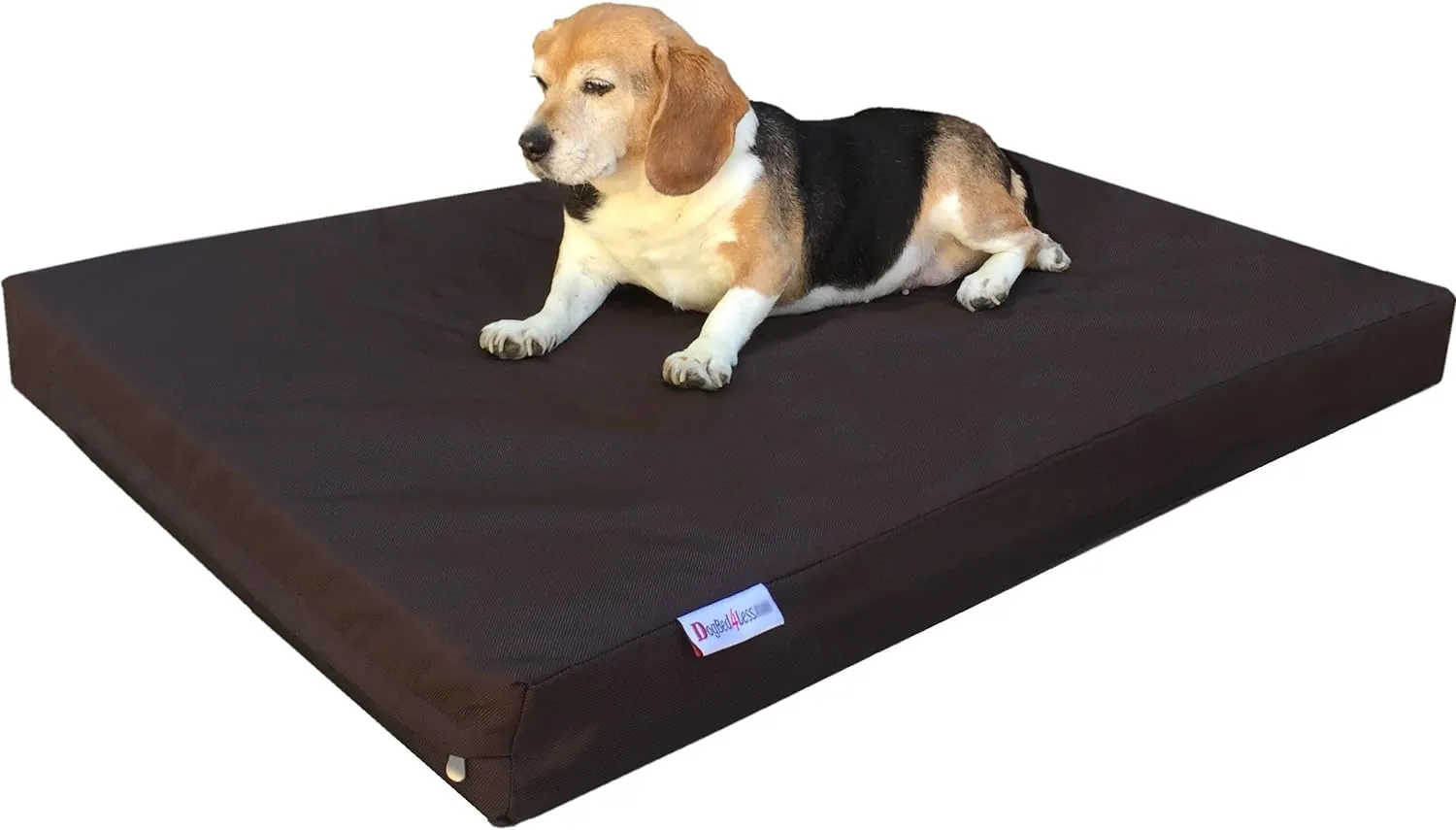 Steel Elevated Pet Bed - 2 Sizes