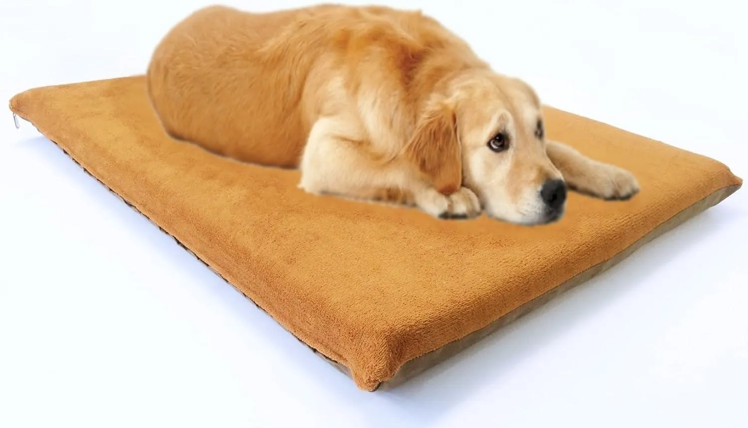 Steel Elevated Pet Bed - 2 Sizes